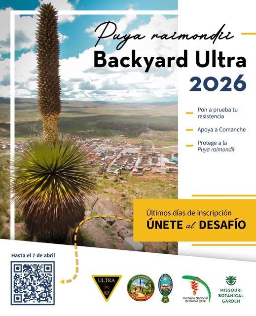 Carrera “Puya Raimondii Backyard Ultra 2026”, en Comanche ¬- La Paz, el 11-abril