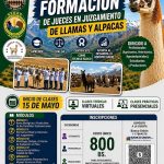Curso “Jueces en juzgamiento de llamas y alpaca”, semipresencial - Potosí, inicia el 15-mayo 8_10_ Curso “Jueces