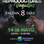 Shopping Reproductores y Vaquillas, en Santa Cruz, el 14-mayo 8_10_ Shopping Reproductores y Vaquillas, en Santa Cruz, el 14-mayo