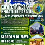 8_4_ Expoferia y Remate