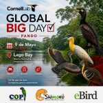 8_7_ Global Big