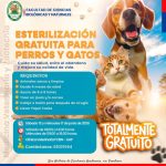 7_11_ Campaña de Esterilización