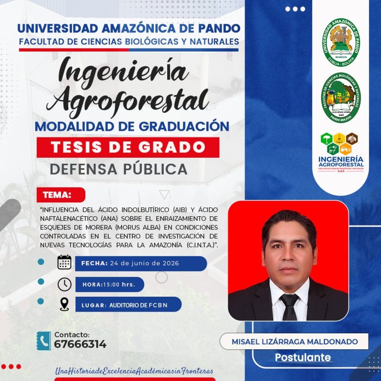 Tesis de grado “Influencia del ácido indolbutírico naftalenacético sobre el enraizamiento de esquejes de Morera…”, en UAP – Pando, el 24-junio