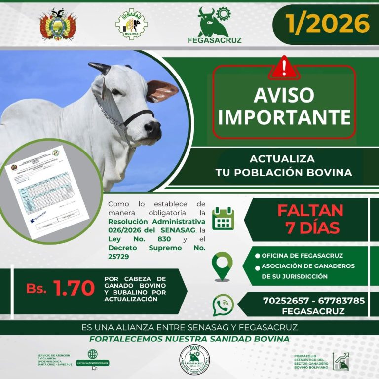 Actualización de la población bovina y bubalina, en Santa Cruz, hasta el 15-junio