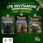 6_10_ Experiencias