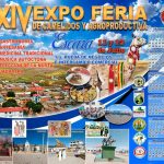 6_10_ ExpoFeria de Camélidos