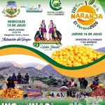 6_16_ Feria de la Naranja