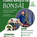 6_27_ Curso “Bonsai