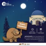 6_9_ Noche de Museos en el Museo
