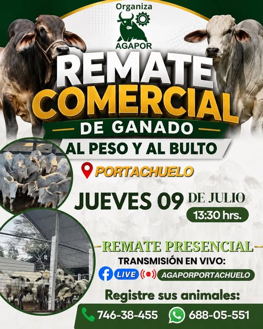 Remate de Ganado al Peso y al Bulto, en Portachuelo – Santa Cruz, el 9-julio